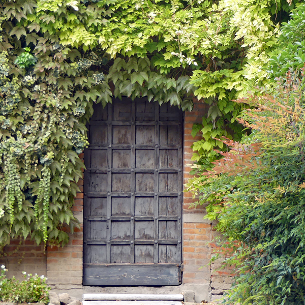 Haustür in eingewachsener Hausmauer