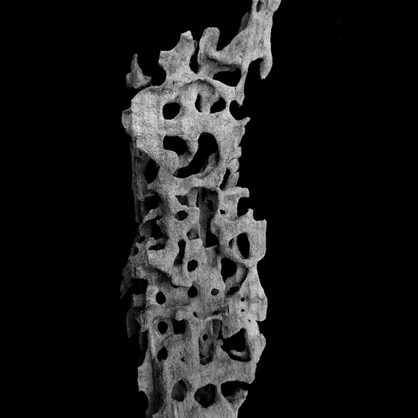 Skulptur aus von Insekten zerfressenem Holz