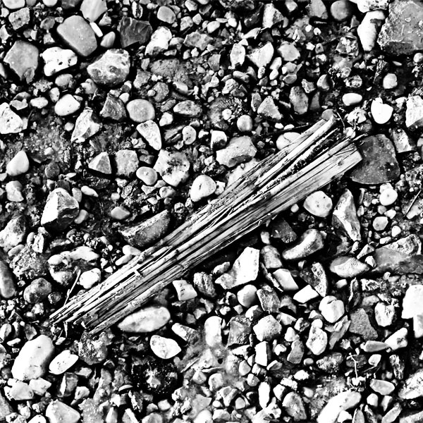 Holz im ausgetrockneten Flussbett