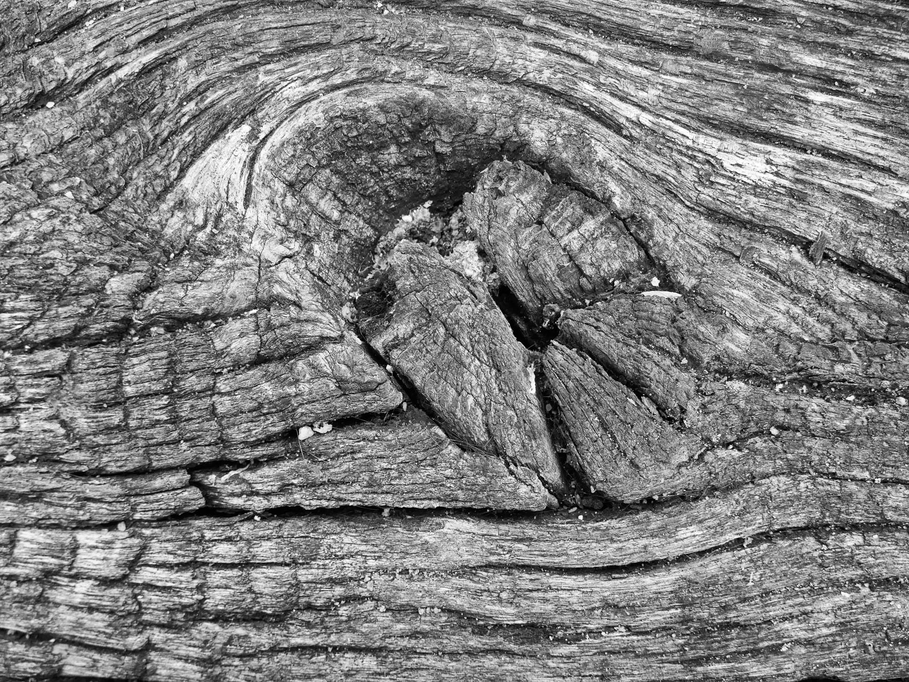 Verwittertes Astloch, altes Holz